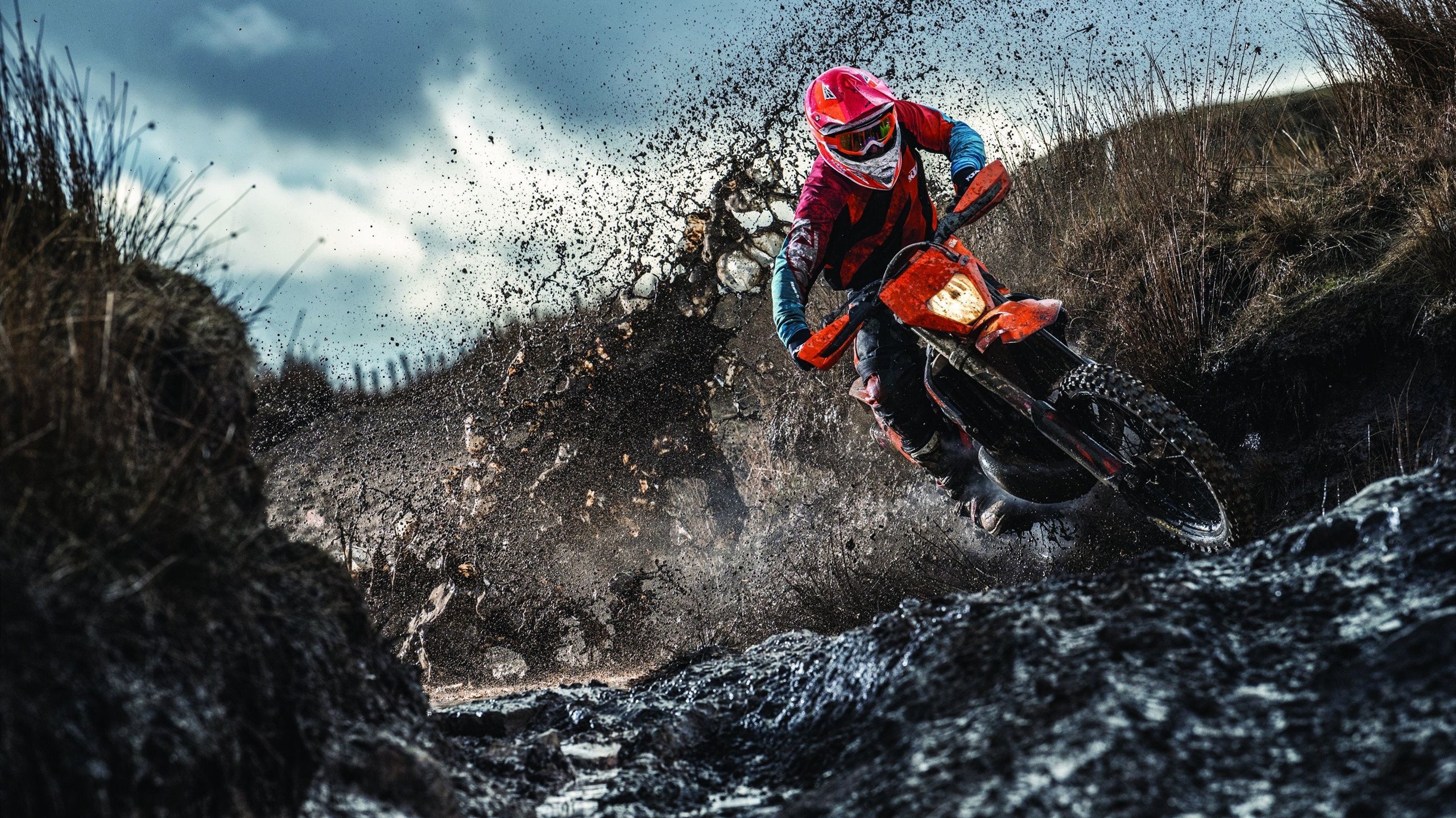 “诺克·达维德·彼得森：南非羚羊队的进攻核心”