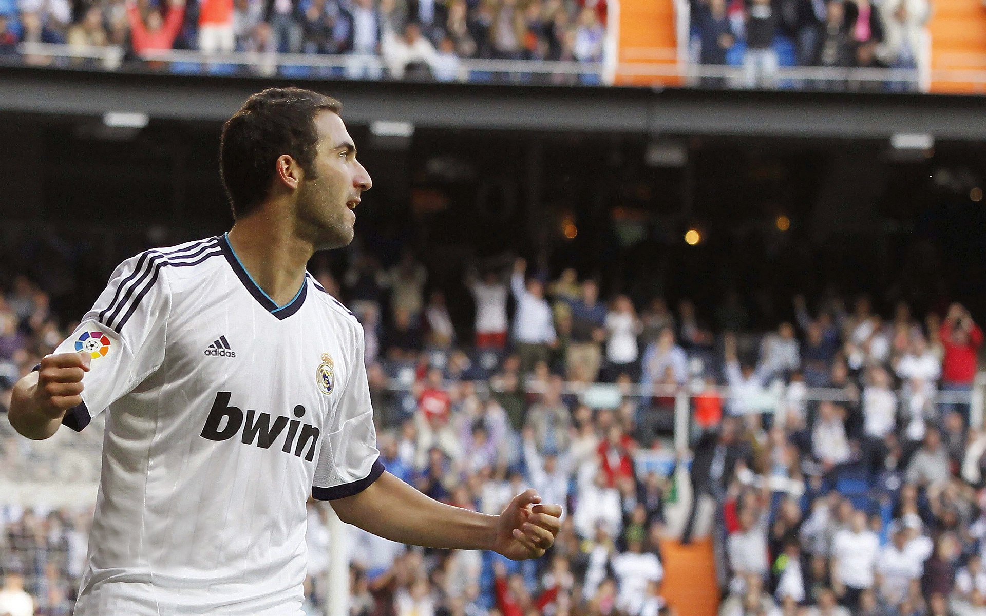 “从草根到顶级球员:埃尔斯·霍斯特的非凡橄榄球之路”