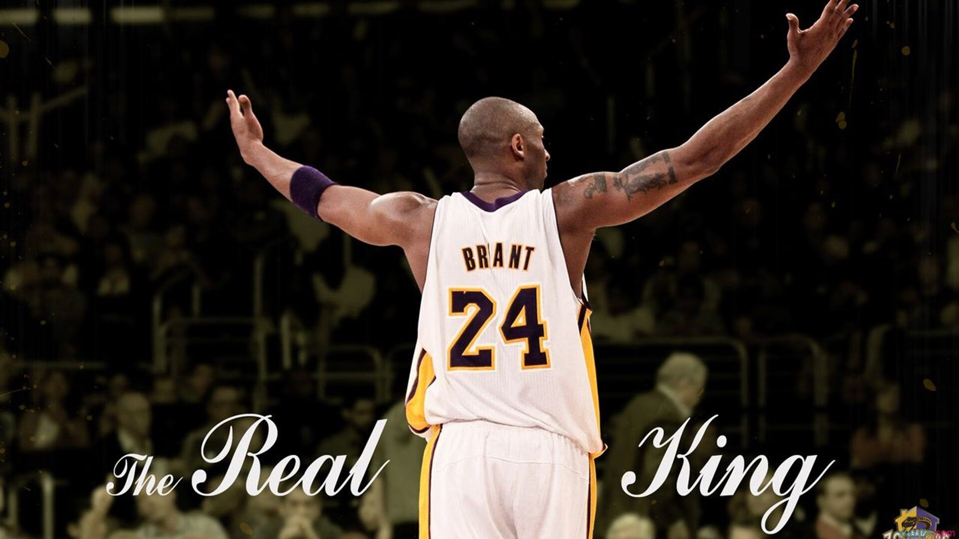 2026世界杯:新一代场馆采用未来科技,增强互动性,2026世界杯球场一览